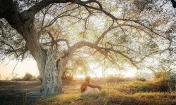 مجید مجیدی فیلم جدیدش را به بوسان می‌برد